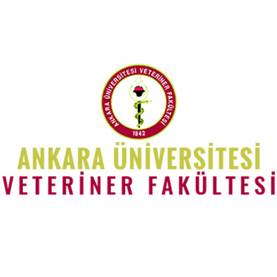 Deney Hayvanları Kullanım Sertifikası, Kategori-B/80 Saat